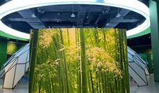 盘点2022年数字生活八大年度事件