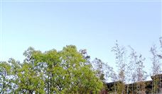 公示拟命名的安全生产标准化管理体系 一级达标煤矿名单