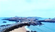 全国首个F5G港口远控团体技术标准发布！