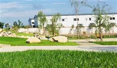 国内首台300吨级整车国产化矿用卡车完成交付