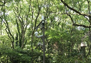 国家数据局：体系化推动算力电力协同 持续提升数据中心绿电供给水平