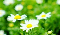 中国中小商业企业协会关于《纺织机械 染料自动配液装置》等团体标准立项的公告?