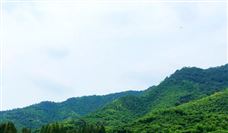 中关村绿色矿山产业联盟关于批准发布 《煤炭行业绿色矿业集团建设规范》等8项团体标准的公告