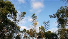 超30亿！三一重工低碳化市场新突破！