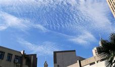 航拍显示特斯拉上海储能工厂或准备动工