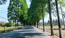 住房城乡建设部办公厅关于智能建造试点城市2023年度工作情况的通报