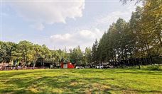 西部钻探自研磁导向系统突破，降本增效助力稠油开发