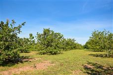 苍南多维度发力，全面推进山地轨道运输机安全生产专项治理