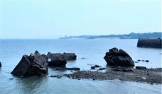 江苏省综合交通运输学会关于《长江港口干散货码头粉尘污染控制要求》等2项团体标准立项的公告