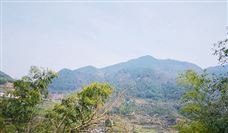 西矿集团厚植绿色发展理念 探索高质量发展新路经