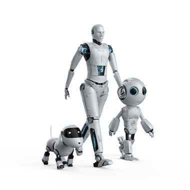 宁波举行“打造人工智能和人形机器人产业创新发展高地”政企协商会