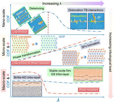 南理工材料学院陈翔教授团队纳米金属摩擦学取得重要突破
