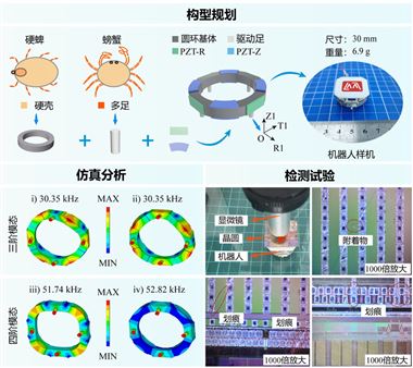 哈工大刘英想教授团队为微小型压电机器人设计提供新思路
