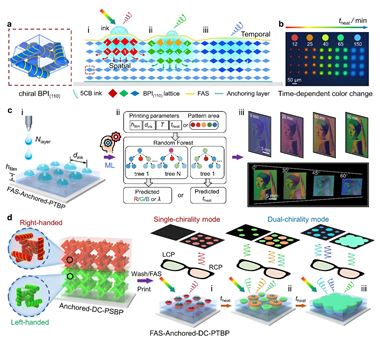 理化所在蓝相液晶3D双手性图案的时空可编程打印方面取得新进展