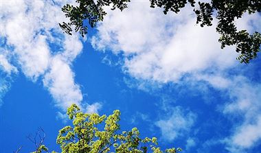 阿里云抢抓全球AI浪潮发展机遇，加速全球伙伴生态升级