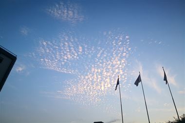 人工智能“四川方案”出炉 26条重点举措助力构建人工智能生态体系