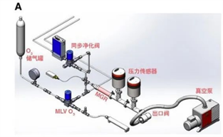 拉曼光谱技术助力碳减排的实现（下）