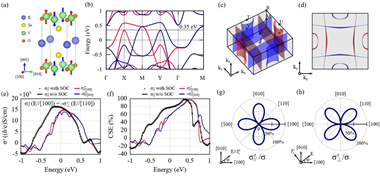 金属所发现交变磁体中平坦费米面激发电荷流-自旋流转化量子极限