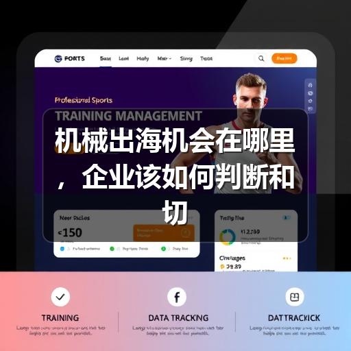 机械出海机会在哪里,企业该如何判断和切入